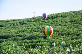 骑行吃瓜好去处,探寻夏日吃瓜好去处