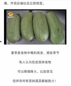 吃瓜网吃瓜网官网,带你领略网络吃瓜文化的魅力