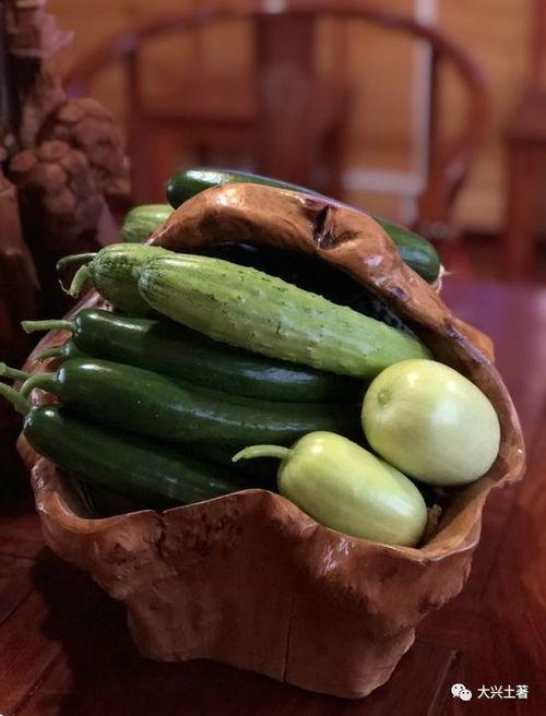 澳洲网红吃瓜,揭秘网红圈幕后趣事